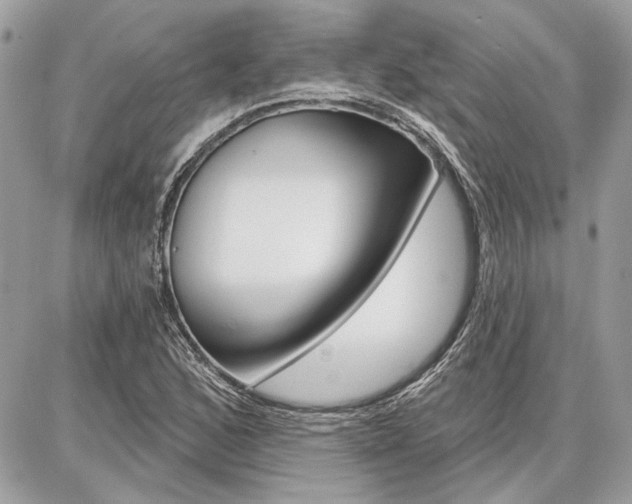 X0000086881168200704160932