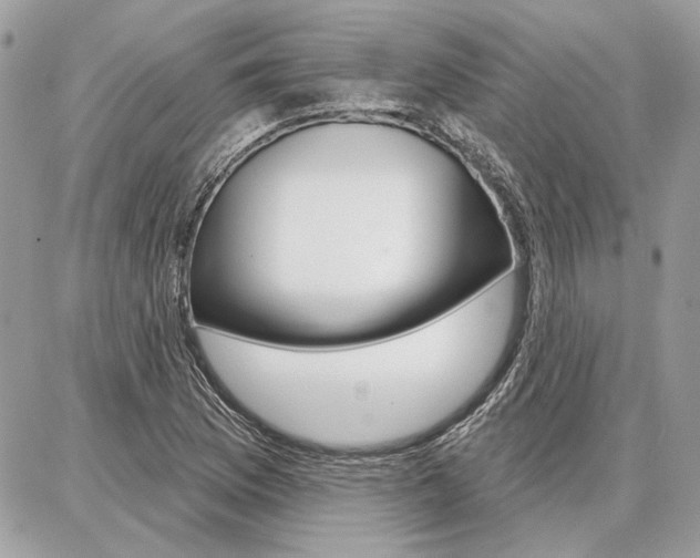 X0000086881169200704160932