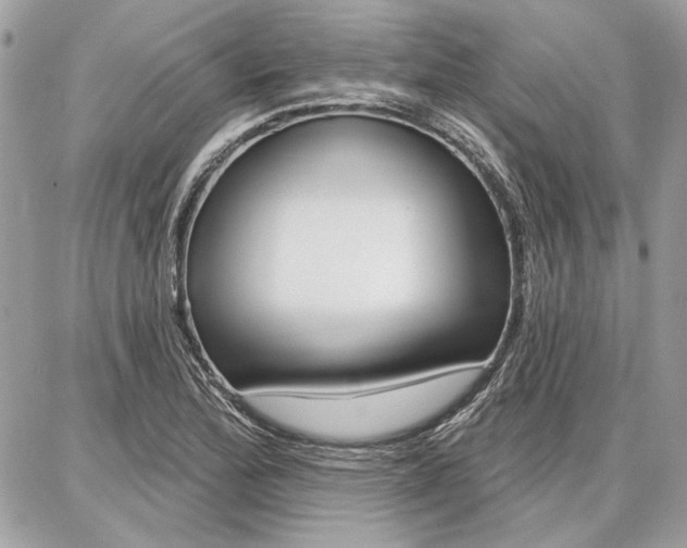 X0000086881172200704160932