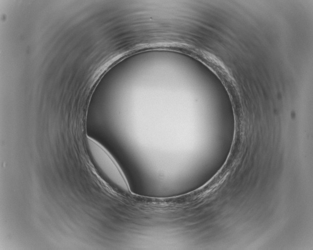 X0000086881177200704160932