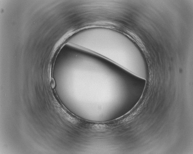 X0000086881180200704160932