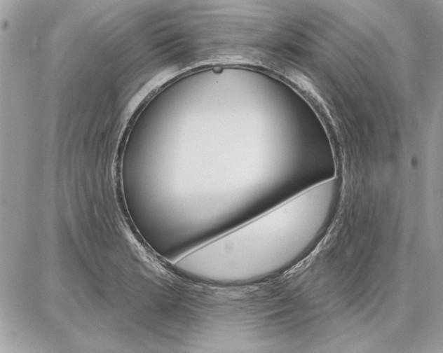 X0000086881181200704160932
