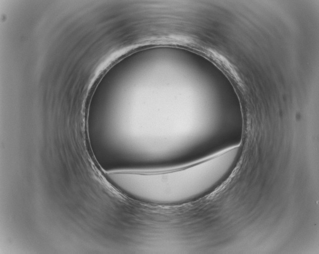 X0000086881184200704160932