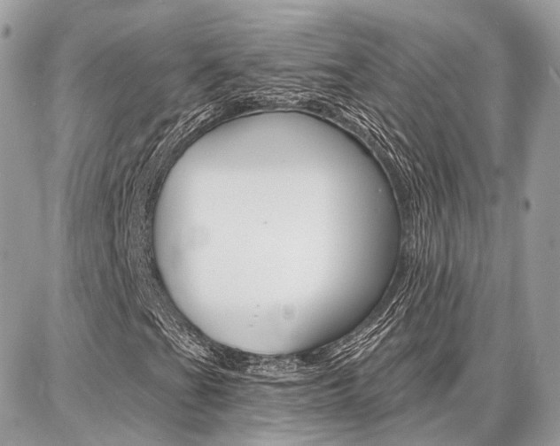 X0000086881201200704160931
