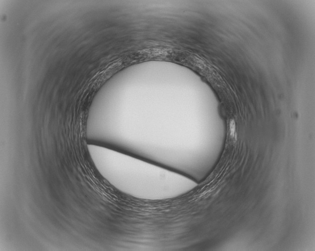 X0000086881203200704160931