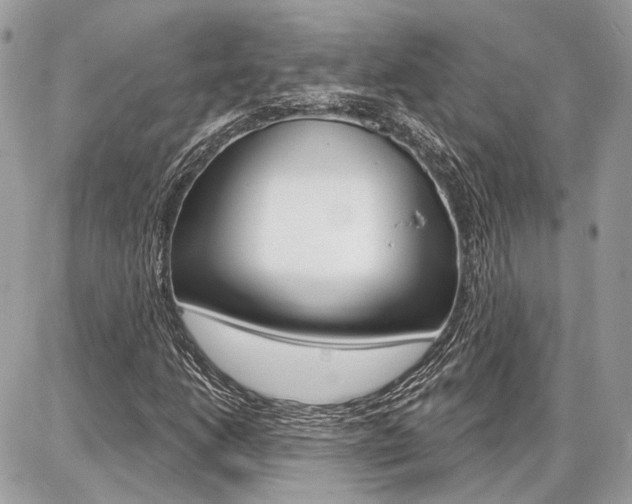 X0000086881206200704160931