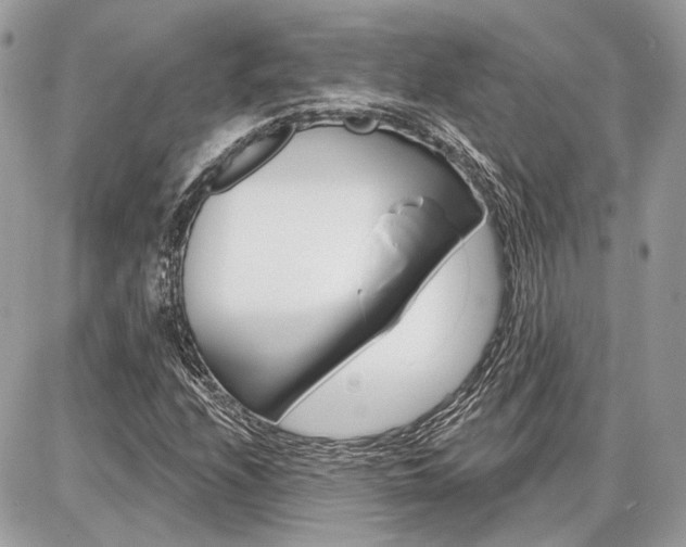 X0000086881208200704160931