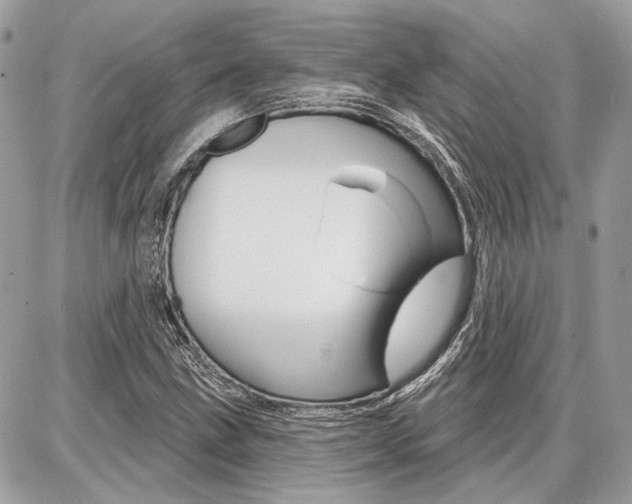 X0000086881211200704160931