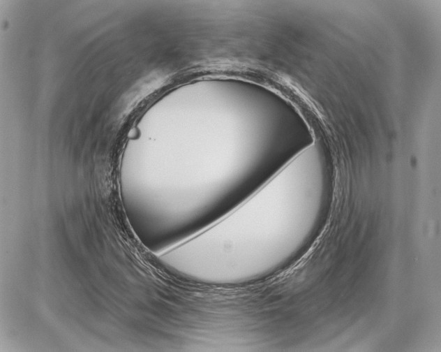 X0000086881213200704160931