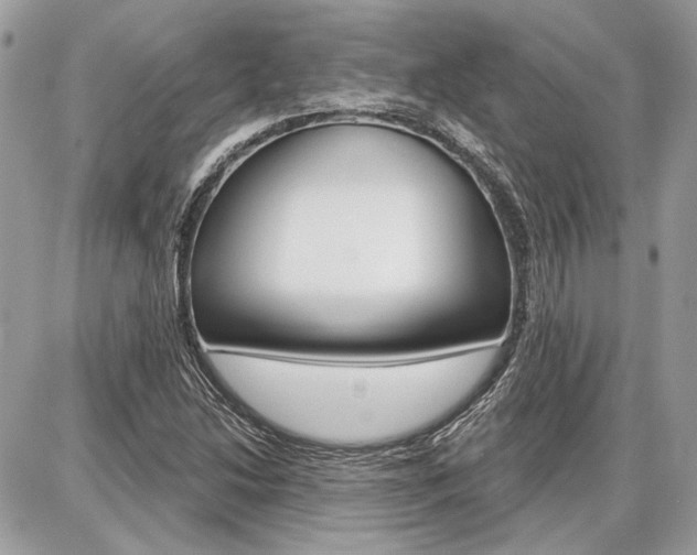 X0000086881214200704160931