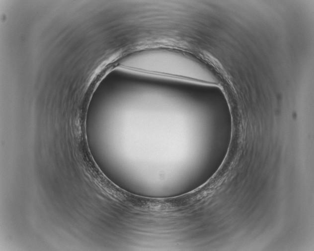 X0000086881218200704160931