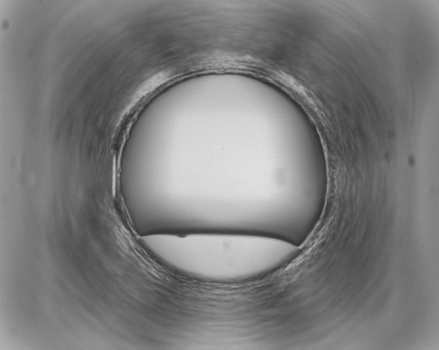 X0000086881219200704160931