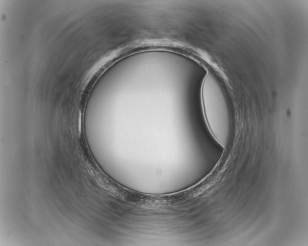 X0000086881221200704160931