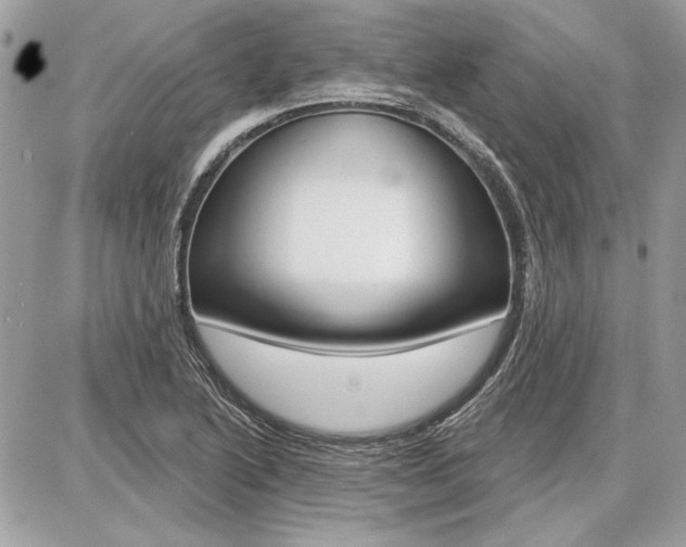 X0000086881222200704160931