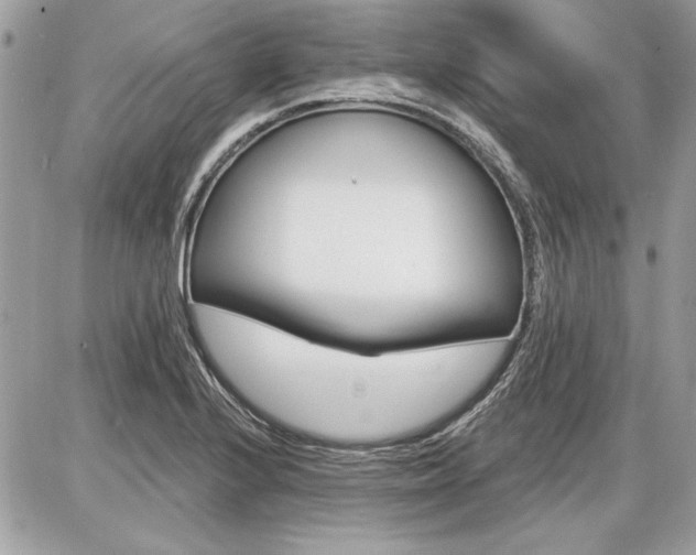 X0000086881224200704160931