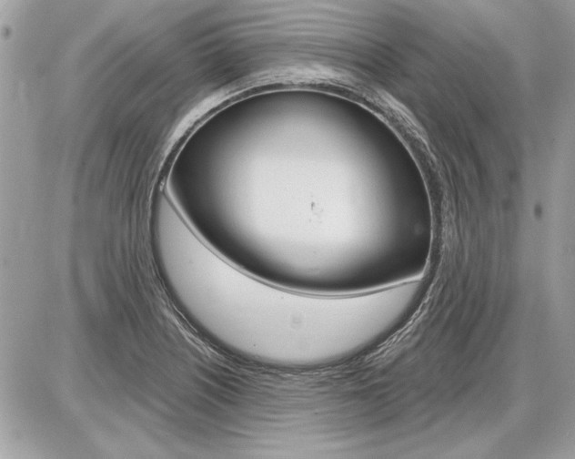 X0000086881226200704160931
