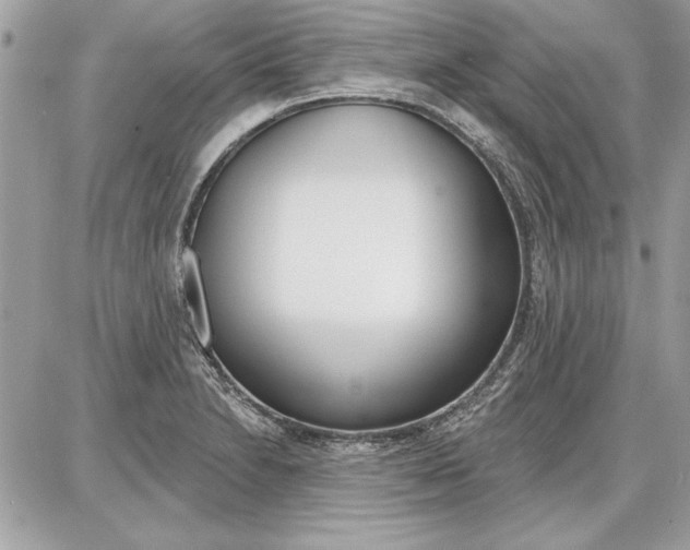 X0000086881230200704160931