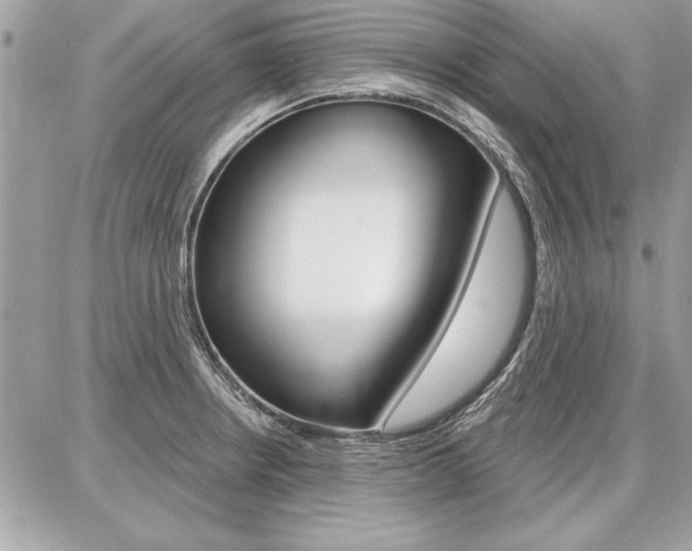 X0000086881234200704160931