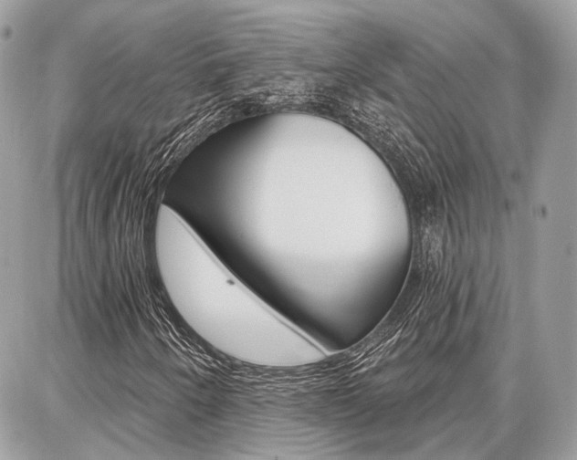 X0000086881250200704160931
