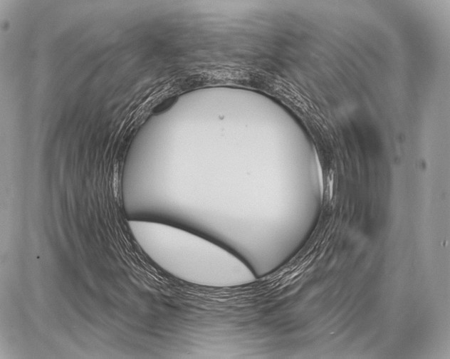 X0000086881251200704160931
