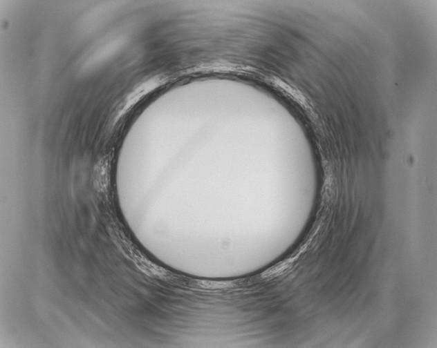 X0000086881258200704160931