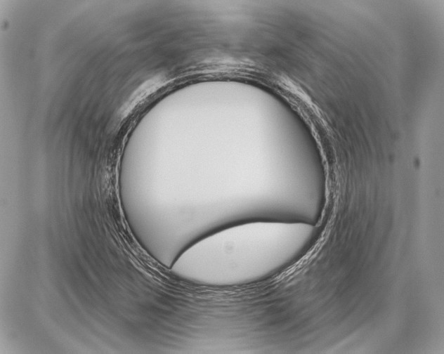 X0000086881259200704160931