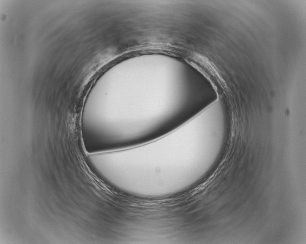 X0000086881260200704160931