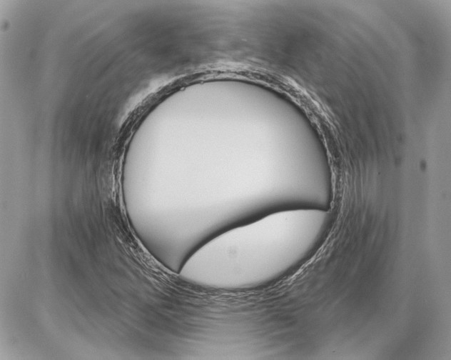X0000086881262200704160930