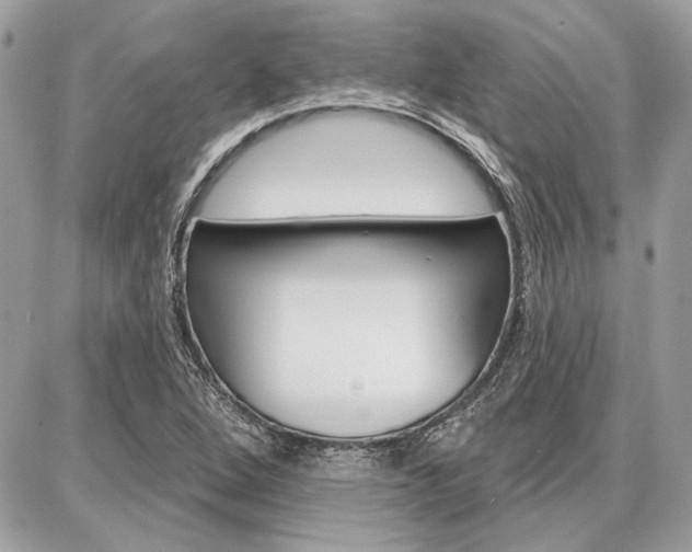 X0000086881264200704160930