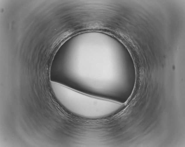 X0000086881265200704160930
