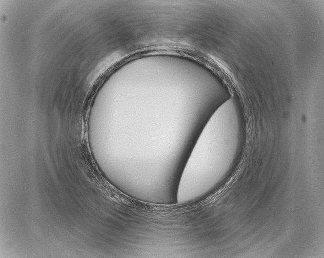 X0000086881267200704160930