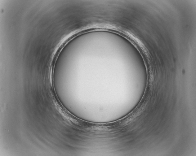 X0000086881272200704160930