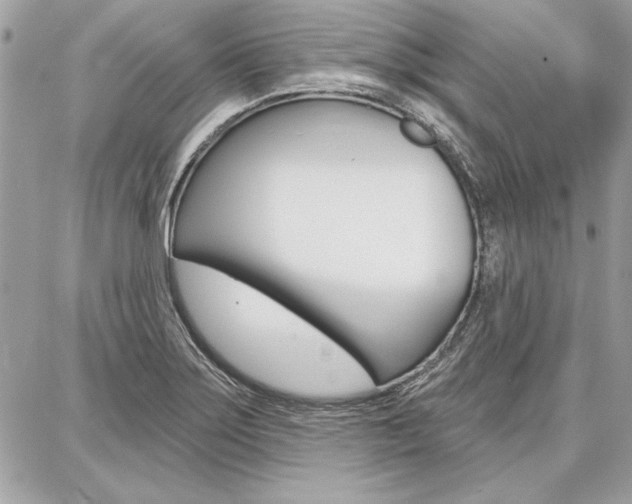 X0000086881275200704160930