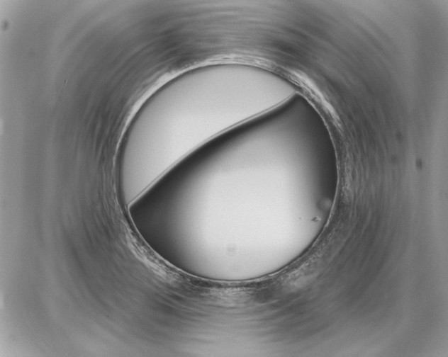 X0000086881276200704160930