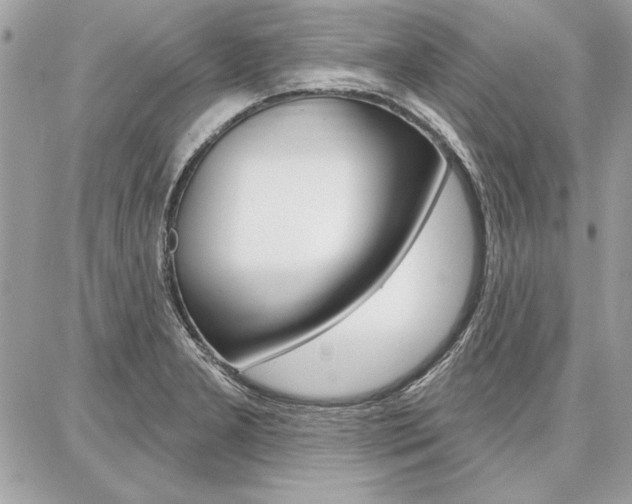 X0000086881277200704160930