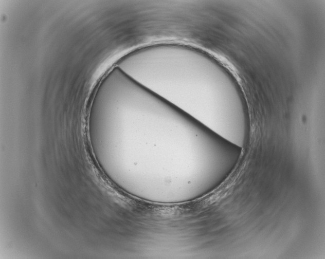 X0000086881279200704160930