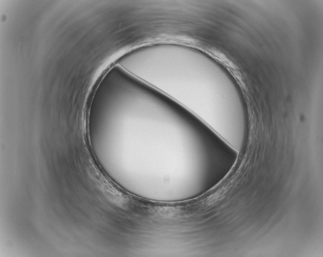 X0000086881280200704160930