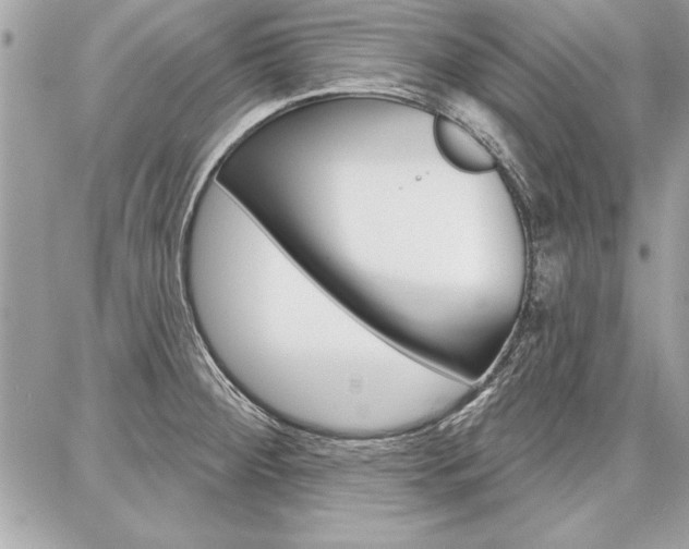 X0000086881284200704160930