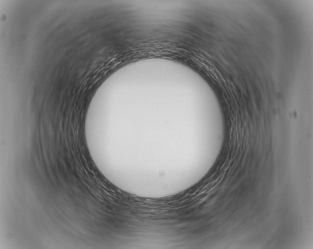 X0000086881298200704160929