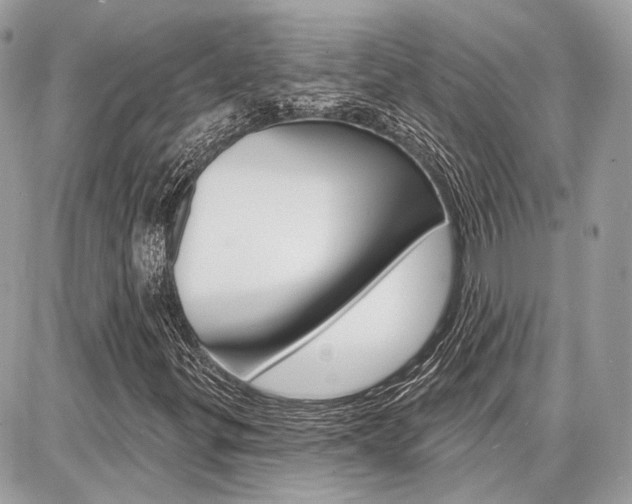 X0000086881299200704160929