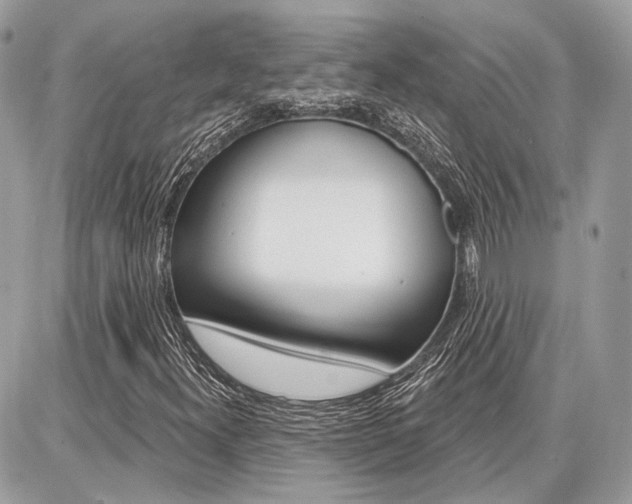 X0000086881300200704160929