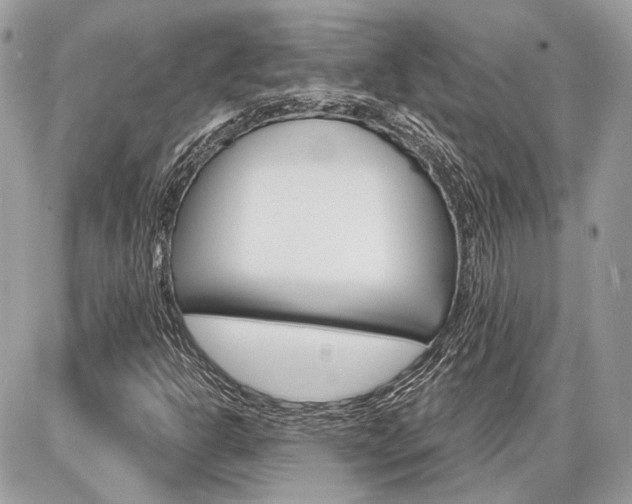 X0000086881302200704160929