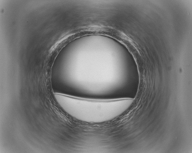 X0000086881304200704160929