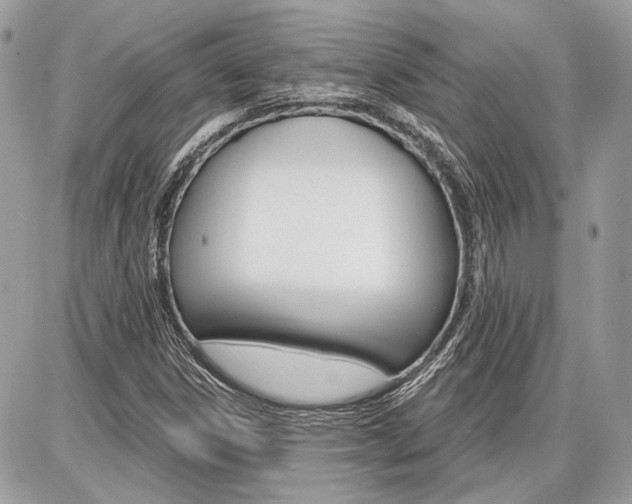 X0000086881306200704160929