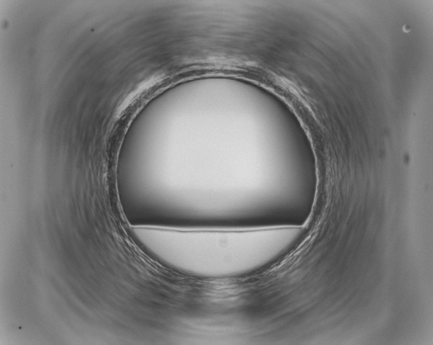 X0000086881307200704160929