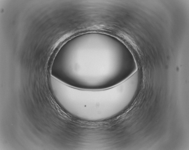 X0000086881308200704160929