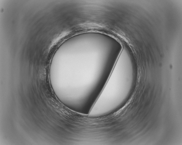 X0000086881309200704160929
