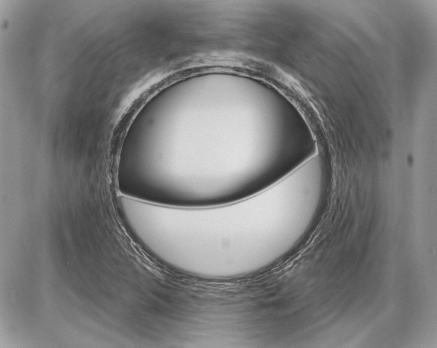 X0000086881312200704160929