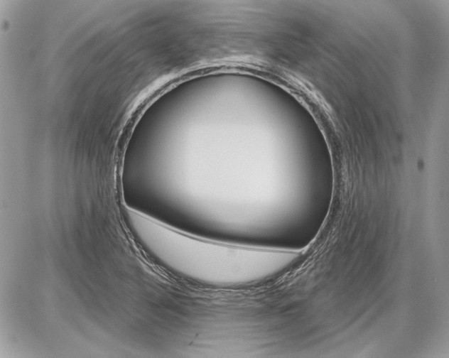 X0000086881316200704160929