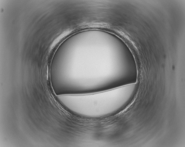 X0000086881317200704160929